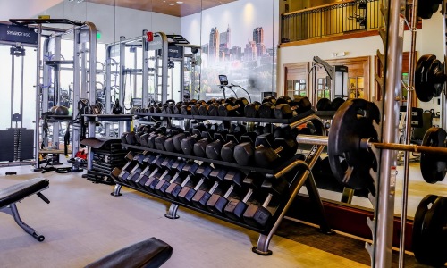 free weights lined up on racks in gym