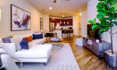 furnished living room open to kitchen